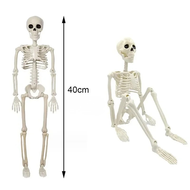 Bewegliches Halloween-Skelett 40 cm – Realistische Dekofigur in menschlicher Form | Spukhaus-, Party- & Horror-Dekoration für Innen & Außen
