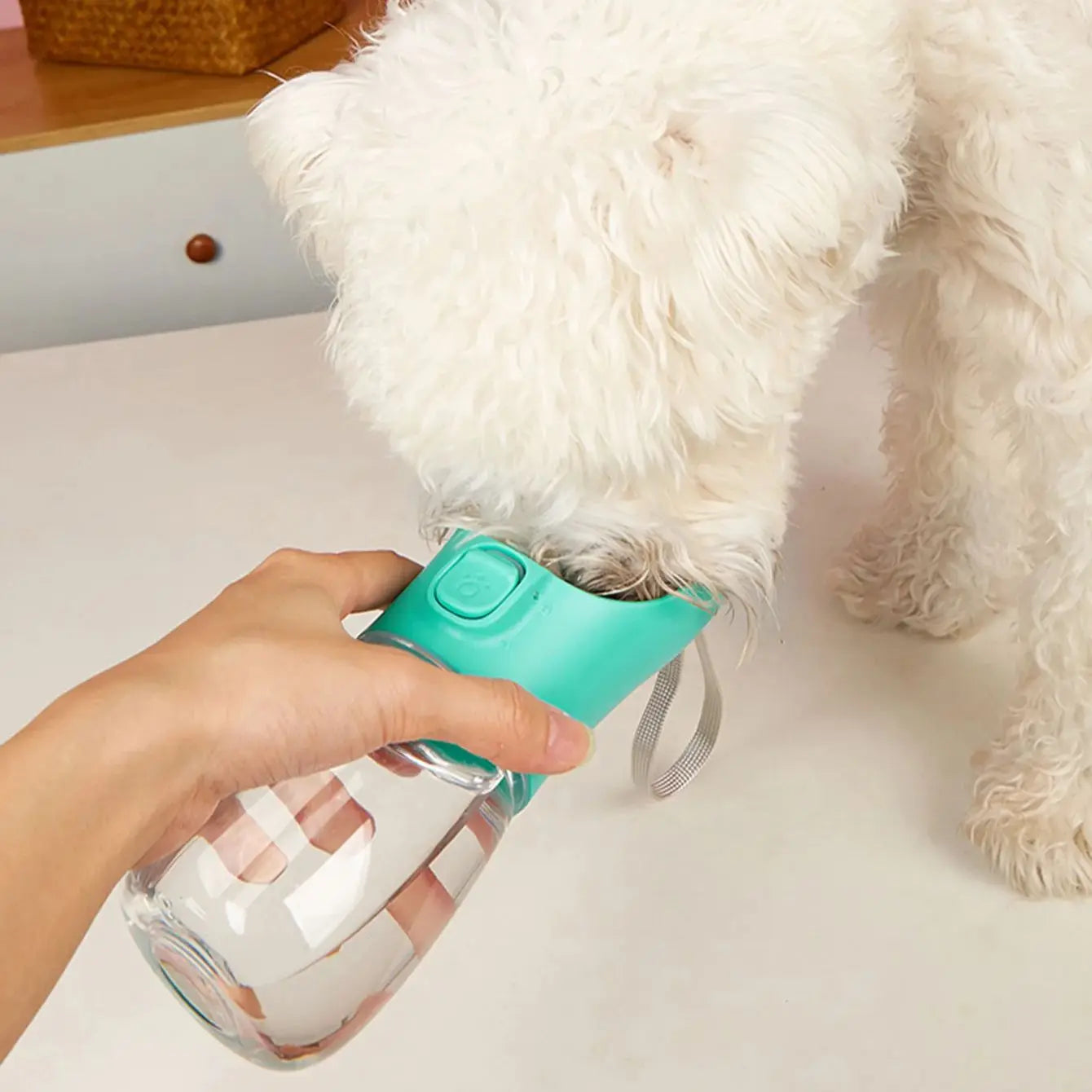 Tragbare Hundetrinkflasche mit Napf – Frisches Wasser überall