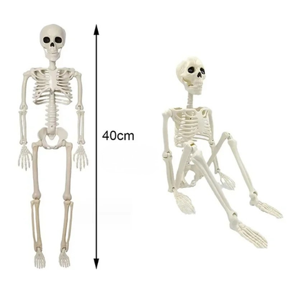 Bewegliches Halloween-Skelett 40 cm – Realistische Dekofigur in menschlicher Form | Spukhaus-, Party- & Horror-Dekoration für Innen & Außen