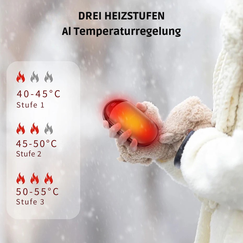 oldSky 2-in-1 Handwärmer (2 Stück) – Wiederaufladbarer Taschenwärmer mit Magnet, Digitalanzeige & Powerbank-Funktion | Geschenk & Outdoor-Begleiter